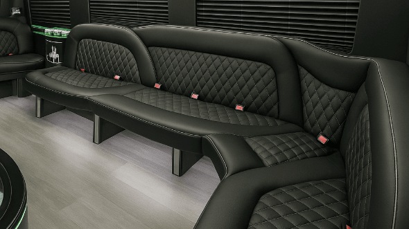 elk grove 14 passenger sprinter limousine interior