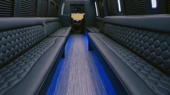 elk grove 30 passenger party bus rental