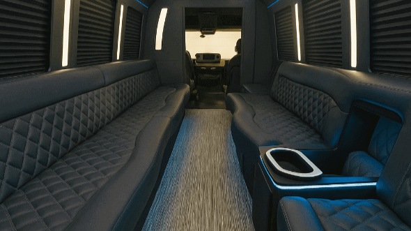 elk grove 50 passenger party bus interior