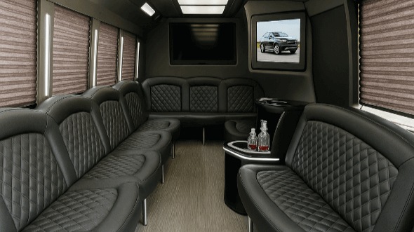 elk grove 50 passenger party bus rental