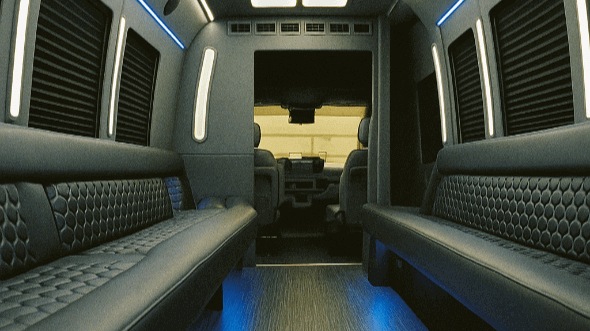elk grove party bus rentals
